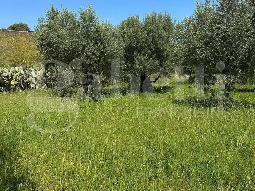 Immagine 16 di Terreno agricolo in vendita  in Contrada Impisi, sn a Ostuni