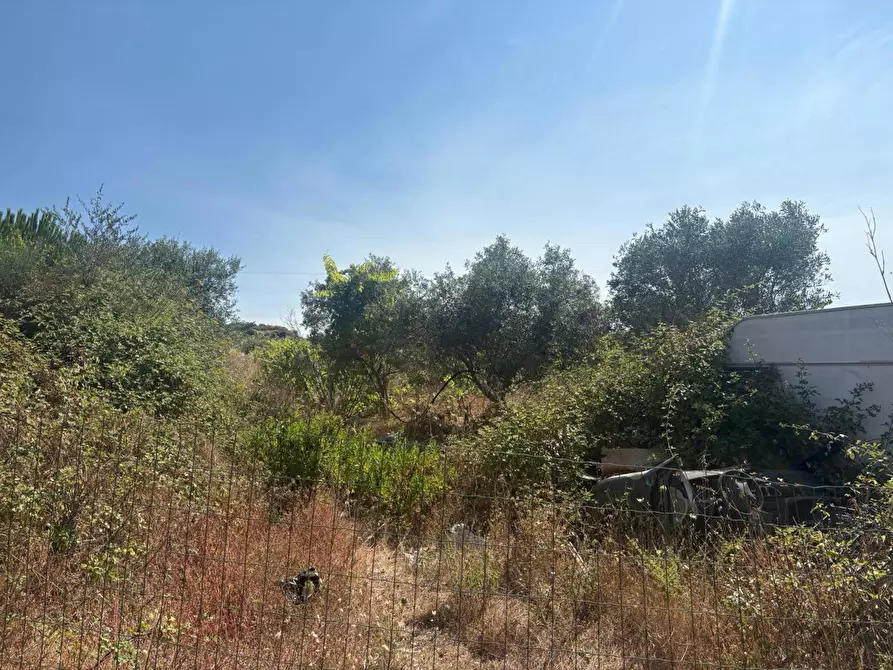 Immagine 2 di Terreno agricolo in vendita  in Via Nicholaus Kleineberg, 2 a Messina