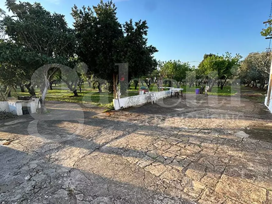 Immagine 10 di Villa in vendita  in Contrada San Benedetto, sn a Ostuni