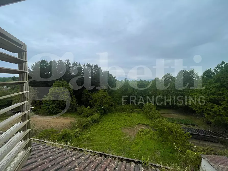 Immagine 17 di Appartamento in vendita  in Via DELLE GINESTRE, 18 a Carlopoli