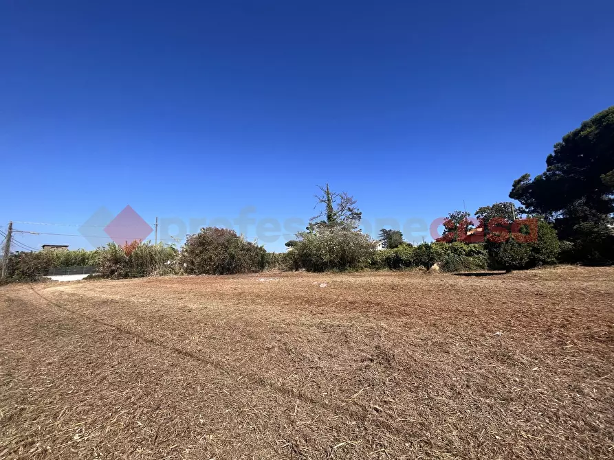 Immagine 8 di Terreno agricolo in vendita  in Via RESIDENCE I PIOPPI, 1 a Terracina