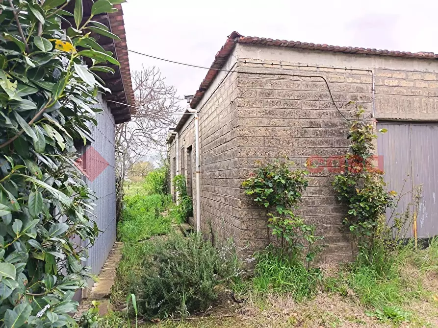 Immagine 6 di Terreno agricolo in vendita  in Strada Vicinale Ponte del Papa, snc a Anagni