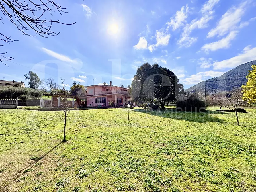 Immagine 4 di Villa in vendita  in Via Carpinetana Est, 56 a Segni