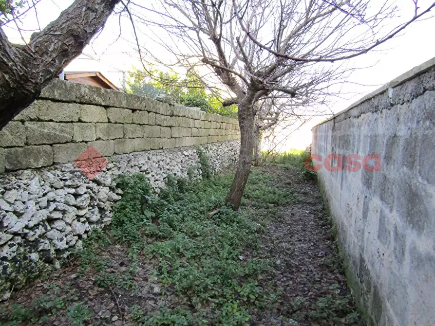 Immagine 18 di Rustico / casale in vendita  in Via Malta a Sanarica