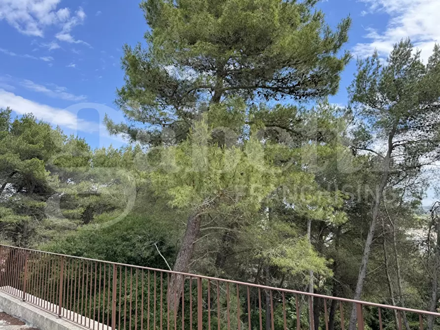 Immagine 34 di Casa bifamiliare in vendita  in Strada Santa Maria, snc a Ruffano