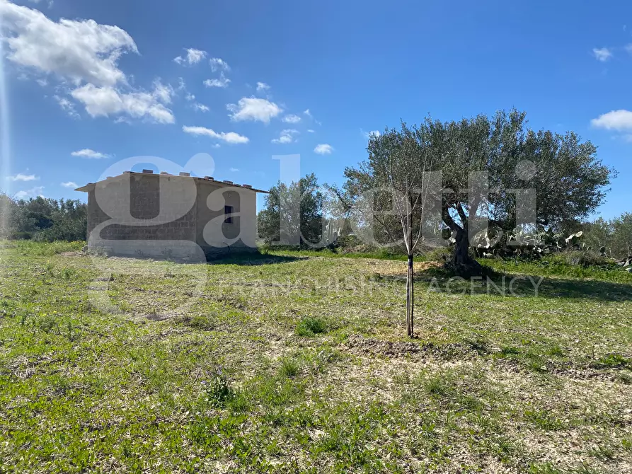 Immagine 9 di Terreno agricolo in vendita  in Strada consortile s.lorenzo, . a Noto