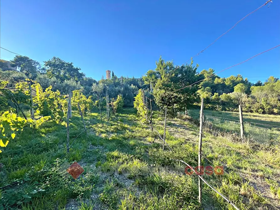 Immagine 3 di Terreno agricolo in vendita  in Via Mariano Bartolucci a Corciano