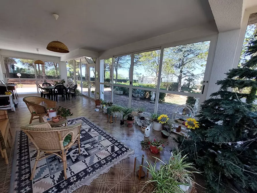 Immagine 4 di Casa trifamiliare in vendita  in Contrada San Martino, 0 a Colonnella