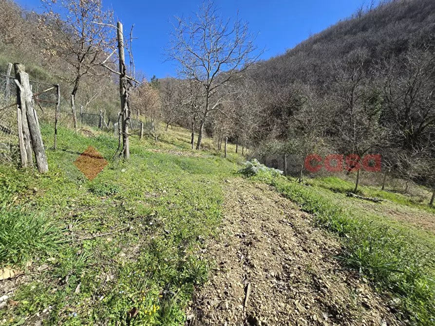 Immagine 21 di Terreno agricolo in vendita  in Via del Cerenaro, snc a Rieti
