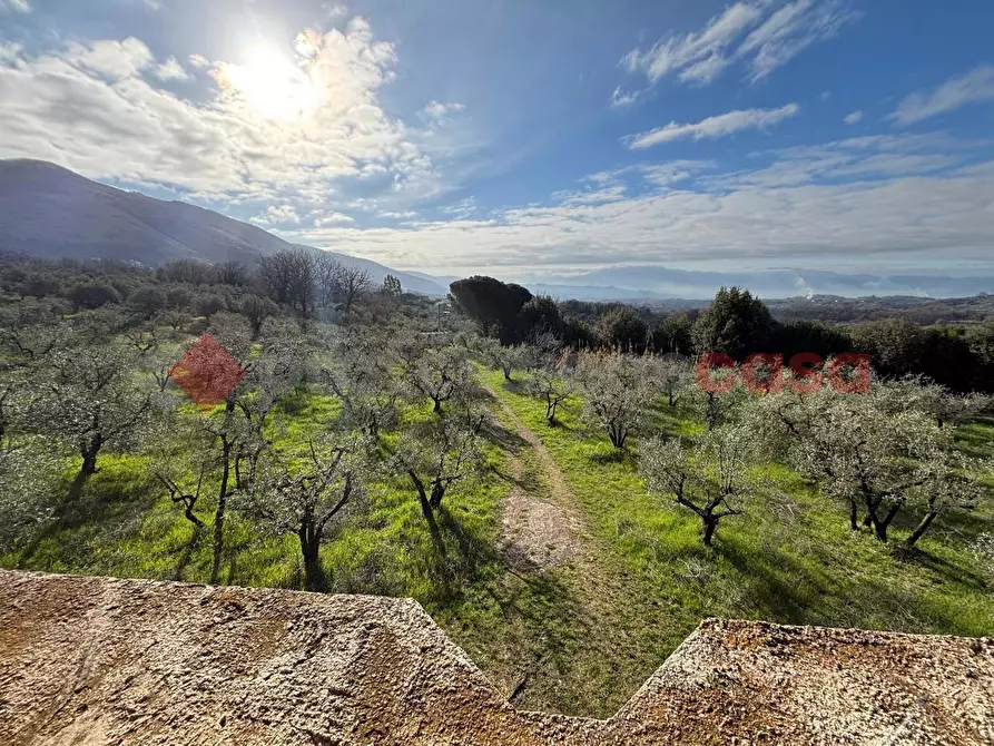 Immagine 9 di Casa indipendente in vendita  in LocalitÃ  San Buci, snc a Piglio