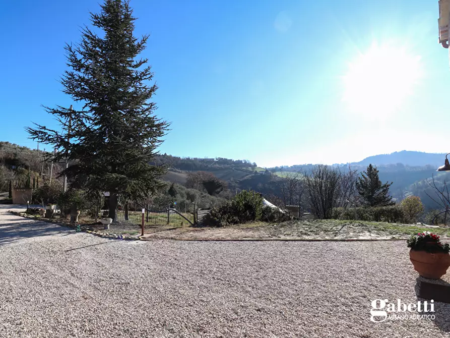 Immagine 21 di Villa in vendita  in Via Spinarello a Saludecio