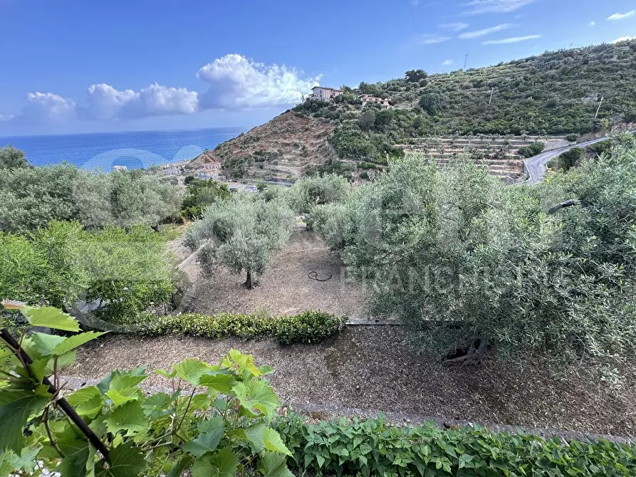 Immagine 9 di Terreno agricolo in vendita  in Contrada grancabella, SNC a Messina