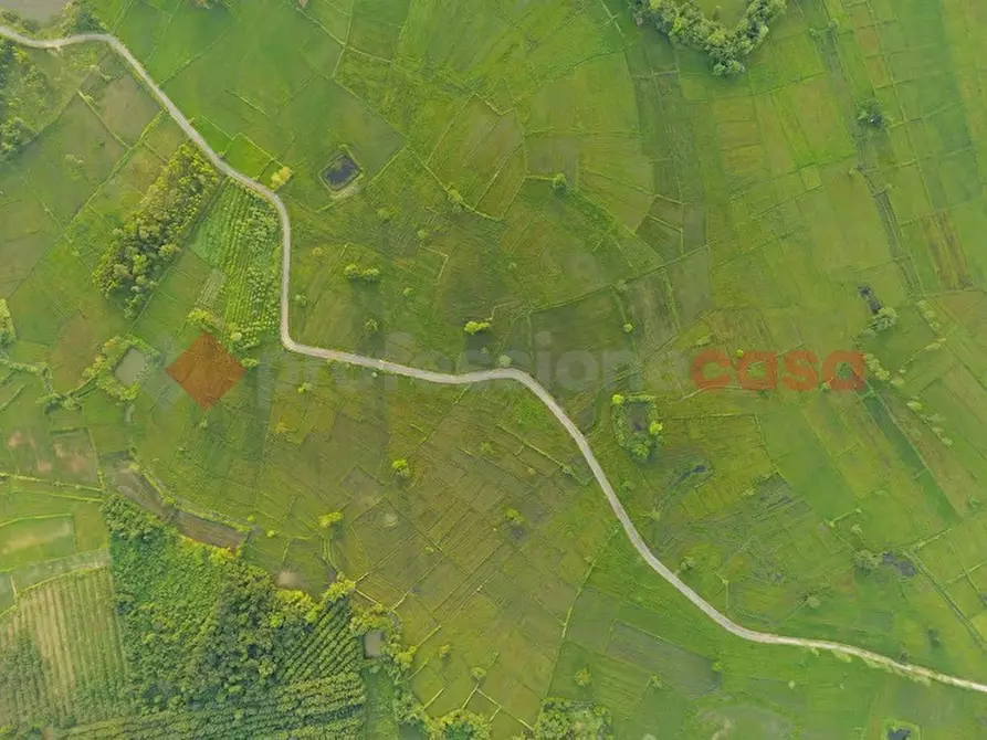 Immagine 10 di Terreno agricolo in vendita  in Via casilina, snc a Anagni