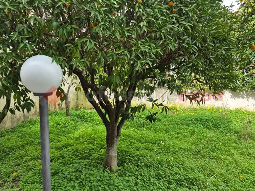 Immagine 28 di Villa in vendita  in Piazza DELLE ORCHIDEE, 18 a Brindisi