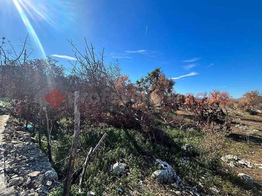 Immagine 17 di Terreno residenziale in vendita  in Via Avola/San Cataldo, 23 a Siracusa