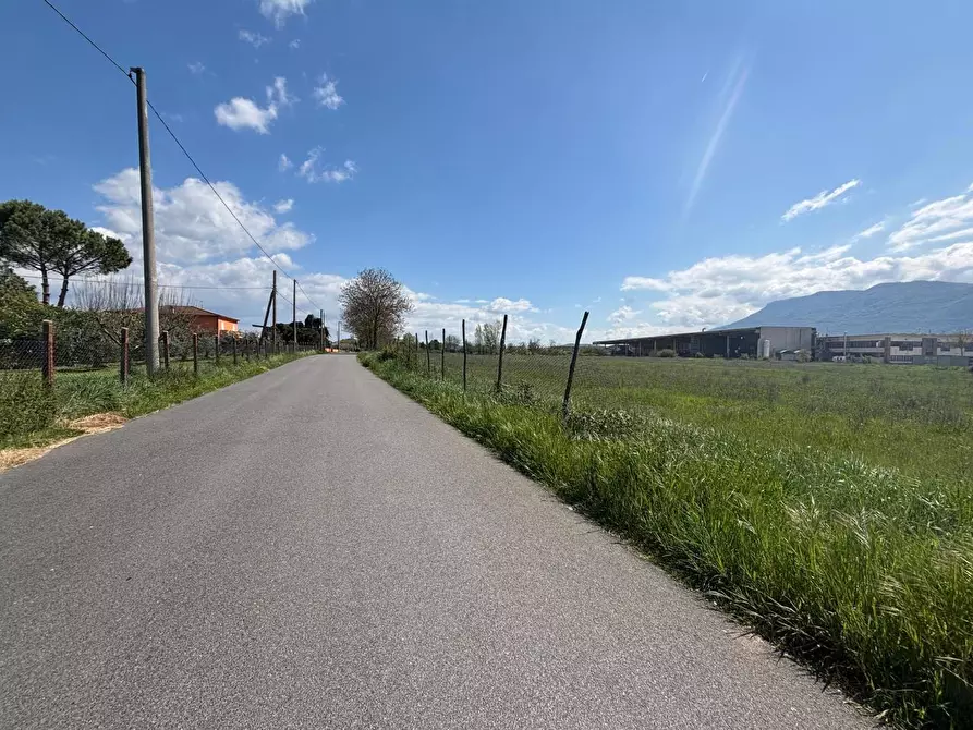 Immagine 3 di Terreno agricolo in vendita  in Via Osteria Della Fontana, 50 a Anagni
