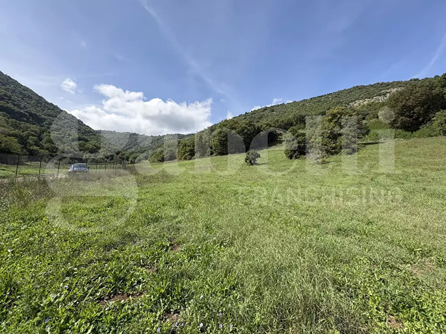 Immagine 18 di Terreno agricolo in vendita  in Via Carpinetana Ovest, snc a Segni