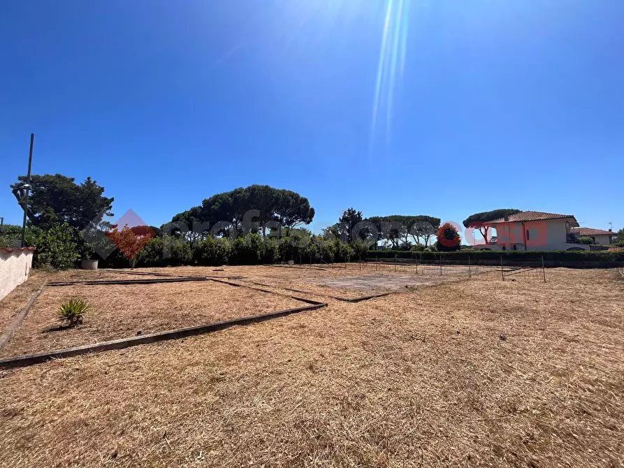Immagine 21 di Terreno agricolo in vendita  in Strada PROV. S. FELICE CIRCEO, 1 a Terracina