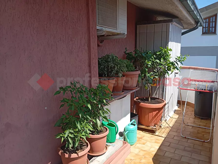 Immagine 19 di Appartamento in vendita  in Via marconi, 20 a Pieve A Nievole
