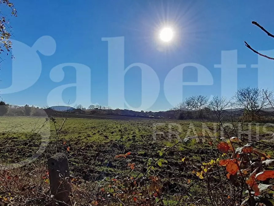 Immagine 24 di Rustico / casale in vendita  in Via DEL CONDOTTINO, 00 a Manziana