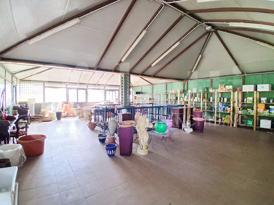 Immagine 32 di Terreno agricolo in vendita  in Contrada gaddimeli, snc a Ragusa