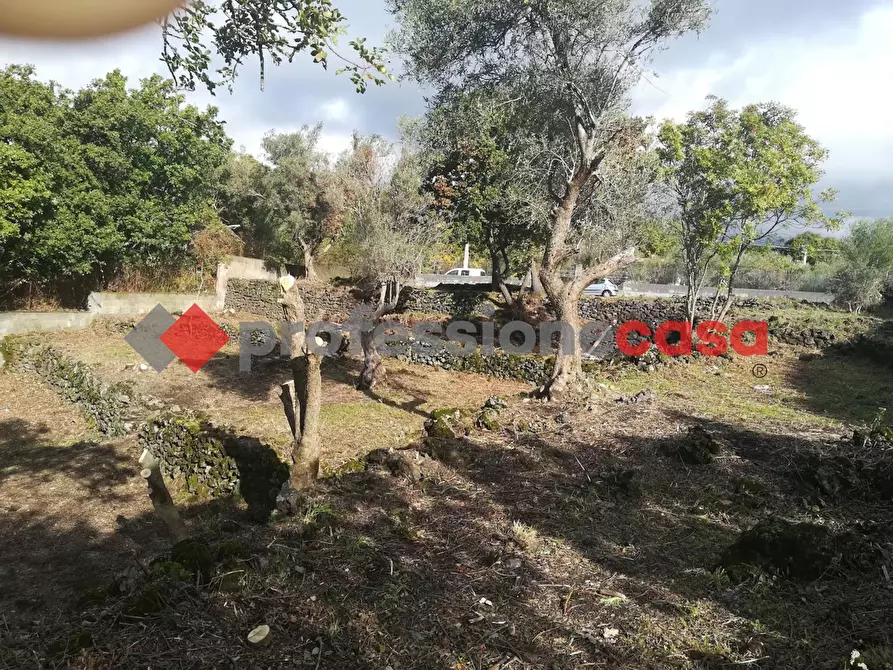 Immagine 8 di Terreno agricolo in vendita  in Contrada Scorsone, SNC a Belpasso