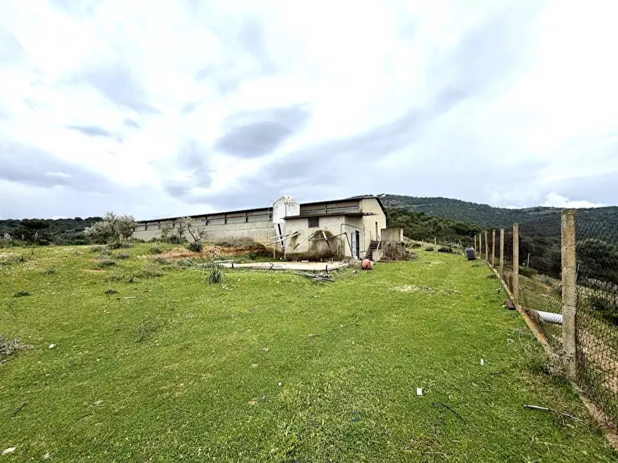 Immagine 9 di Capannone industriale in vendita  in Strada COMUNALE DE ORBAI, SNC a Dolianova