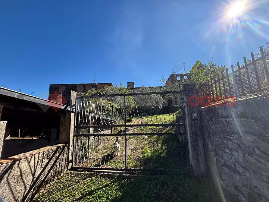 Immagine 11 di Terreno agricolo in vendita  in Via Vignali, snc a Sgurgola