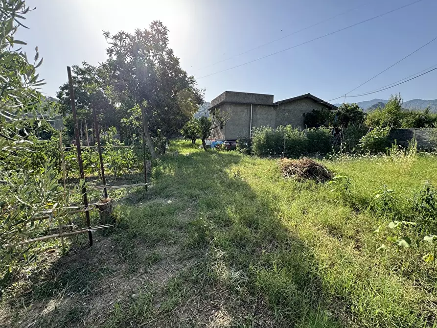 Immagine 15 di Terreno agricolo in vendita  in Strada comunale, snc a Rometta