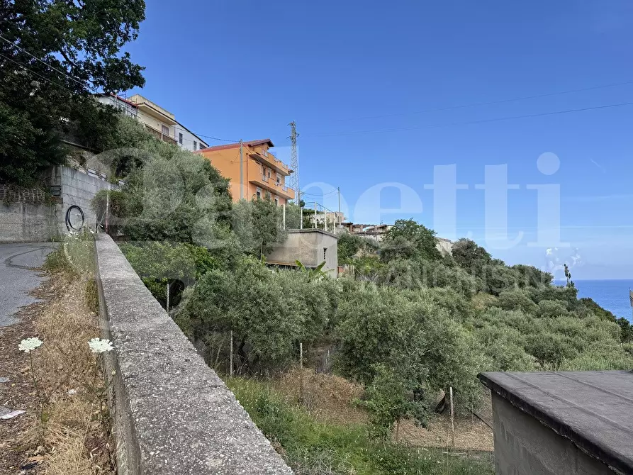 Immagine 5 di Terreno agricolo in vendita  in Contrada grancabella, SNC a Messina