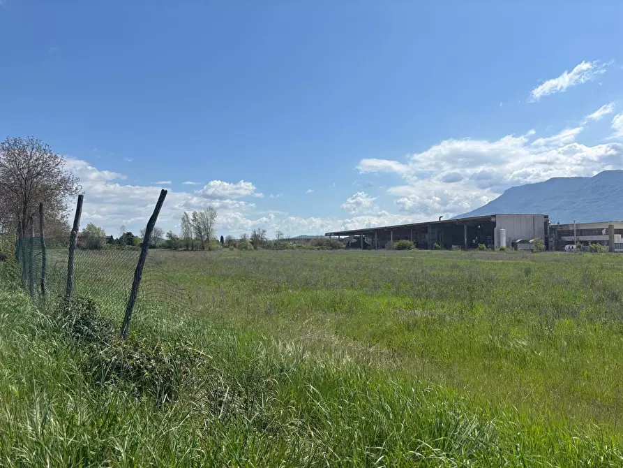 Immagine 1 di Terreno agricolo in vendita  in Via Osteria Della Fontana, 50 a Anagni
