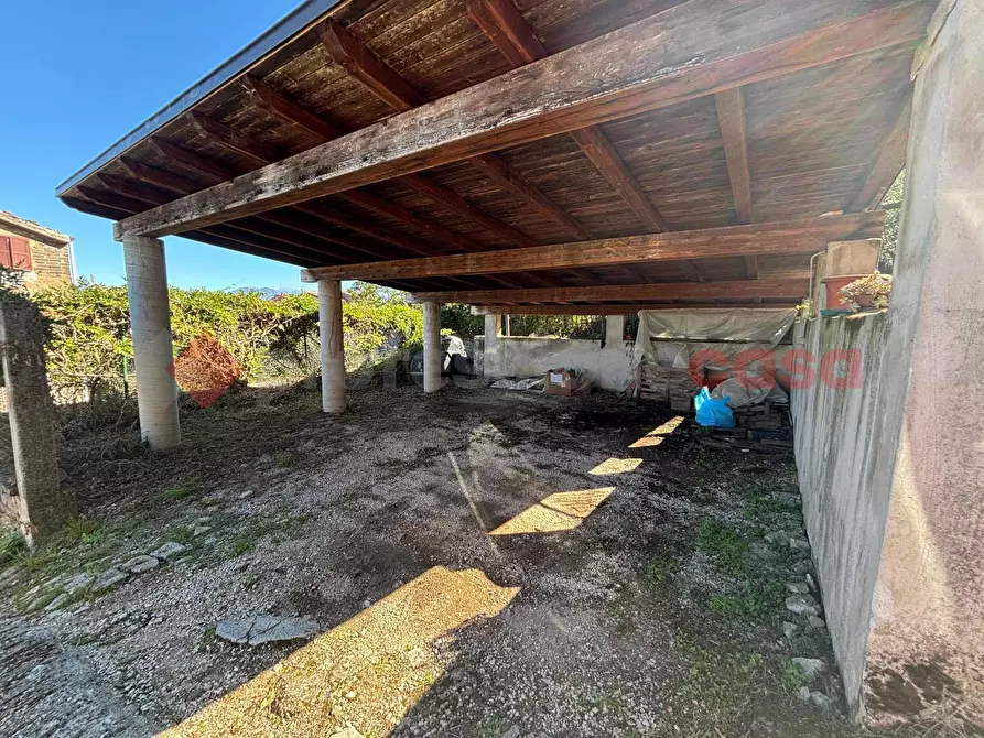 Immagine 12 di Terreno agricolo in vendita  in Via Vignali, snc a Sgurgola