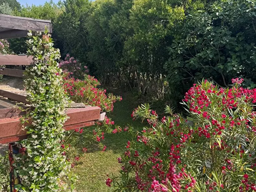 Immagine 26 di Rustico / casale in vendita  in Via castagna, 14 a Osimo