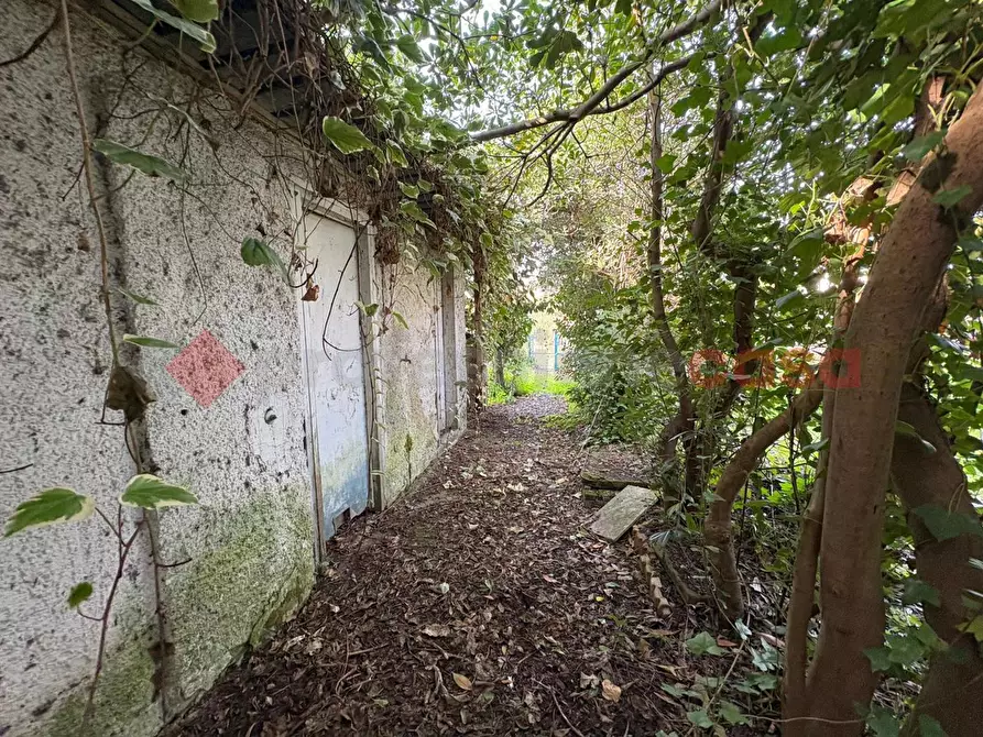 Immagine 30 di Bar / Ristorante in vendita  in Via Punta Fiume, snc a Sessa Aurunca