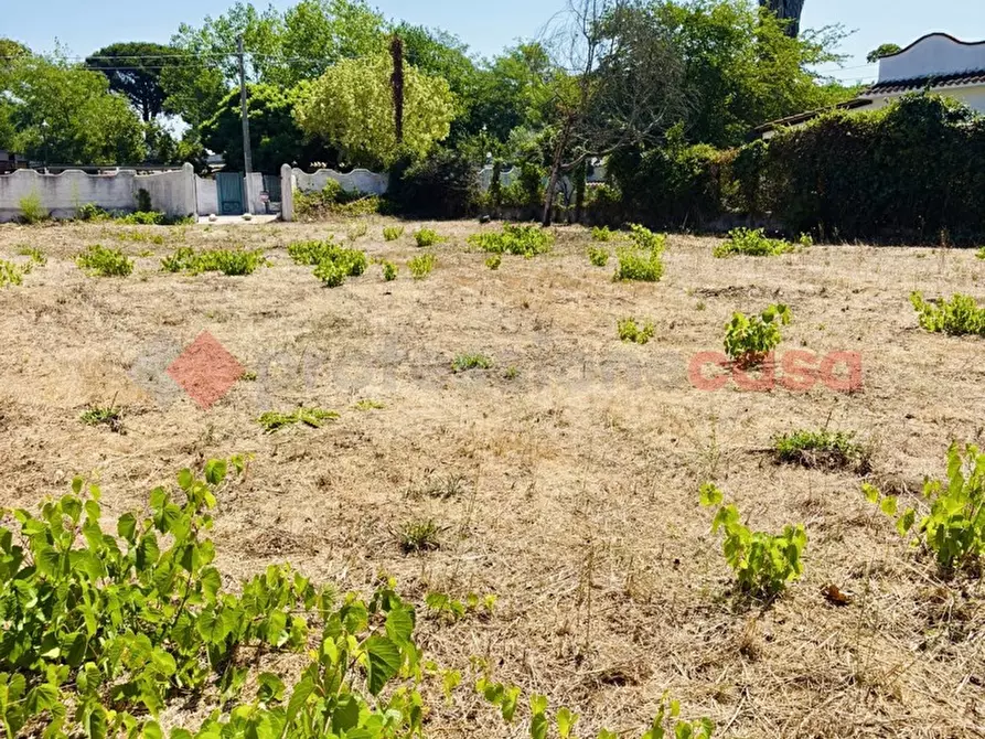 Immagine 15 di Terreno agricolo in vendita  in Via OASI DEL SISTO, 31 a Terracina