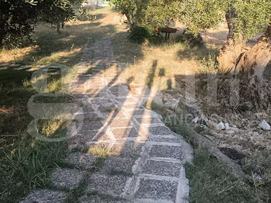 Immagine 9 di Terreno residenziale in vendita  in Via ROSSINI, SNC a Crispiano
