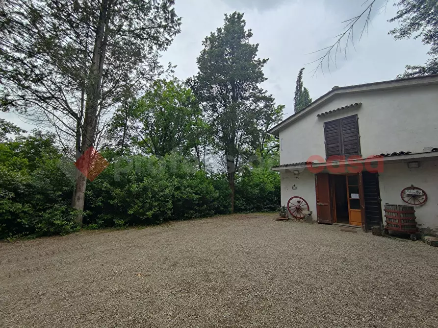 Immagine 10 di Terreno agricolo in vendita  in Via di castagneto a Empoli