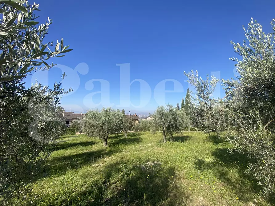 Immagine 6 di Terreno residenziale in vendita  in Via DELLE GINESTRE, 1 a Assisi