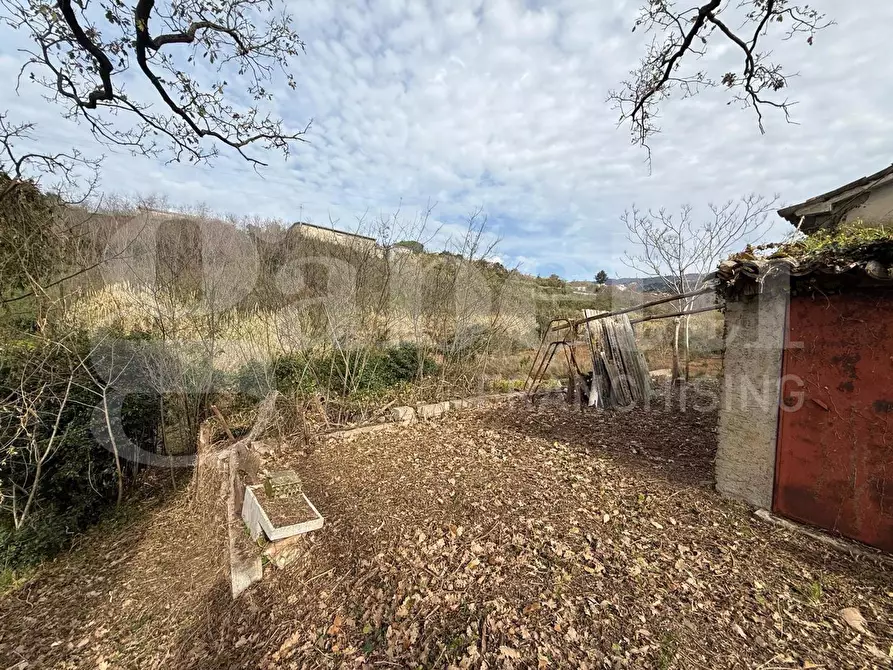 Immagine 9 di Terreno agricolo in vendita  in Contrada CARLO FAZZO, snc a Pianopoli