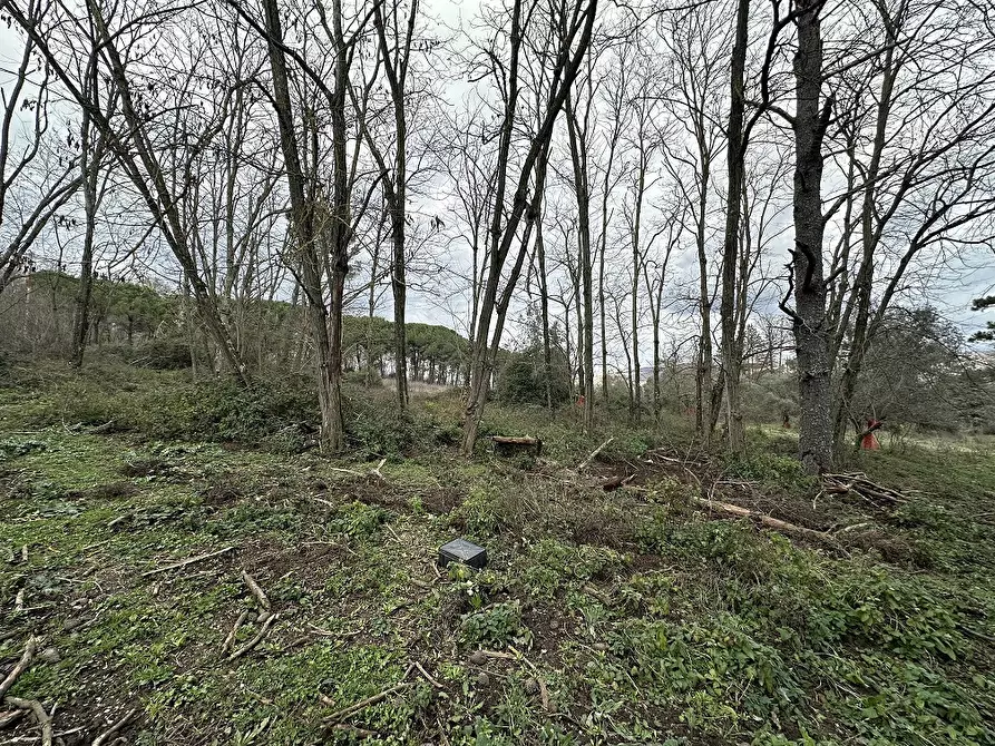 Immagine 2 di Terreno agricolo in vendita  in Via MONTANCIANO, 00 a Canale Monterano