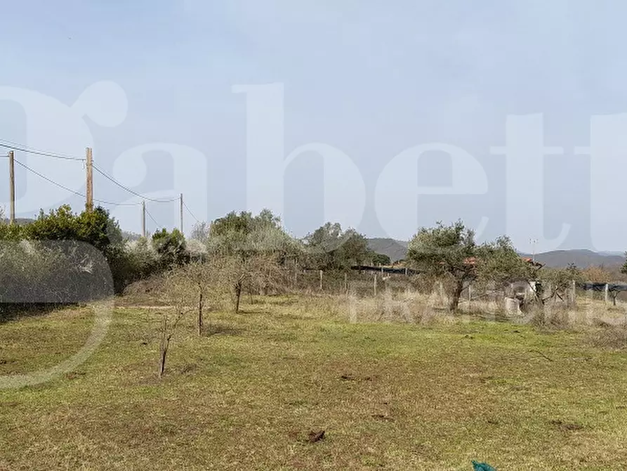 Immagine 9 di Terreno agricolo in vendita  in Via CASALE DELLE PIETRISCHE, 00 a Manziana