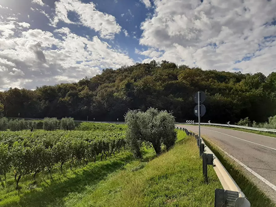 Immagine 1 di Terreno agricolo in vendita  in Via Strada Provinciale a Puegnago Sul Garda