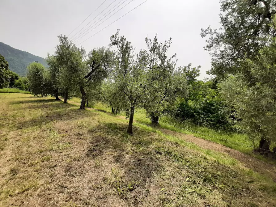 Immagine 1 di Terreno agricolo in vendita  in Via Odorici a Roe' Volciano