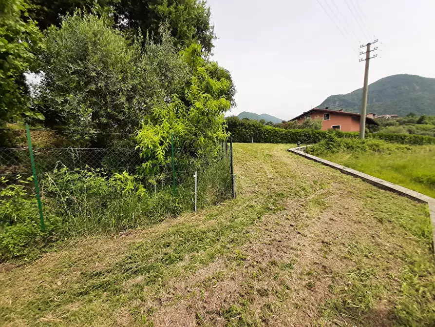 Immagine 4 di Terreno agricolo in vendita  in Via Odorici a Roè Volciano