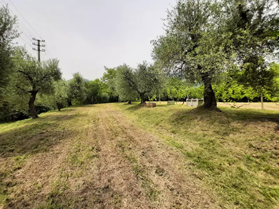 Immagine 9 di Terreno agricolo in vendita  in Via Odorici a Roè Volciano