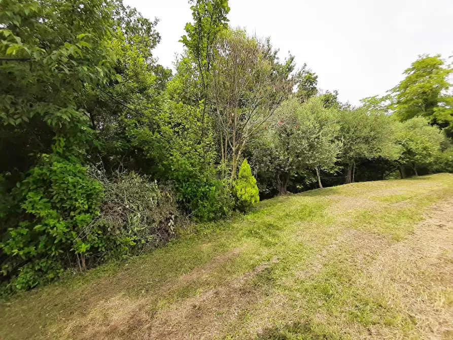 Immagine 14 di Terreno agricolo in vendita  in Via Odorici a Roè Volciano
