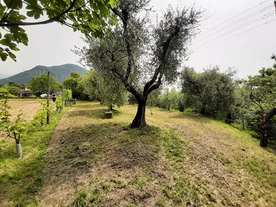 Immagine 16 di Terreno agricolo in vendita  in Via Odorici a Roè Volciano