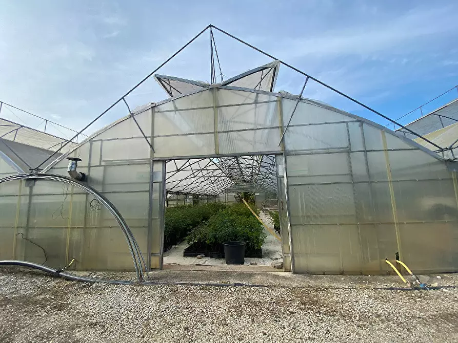 Immagine 12 di Magazzino in vendita  in Via Trevisago a Manerba Del Garda