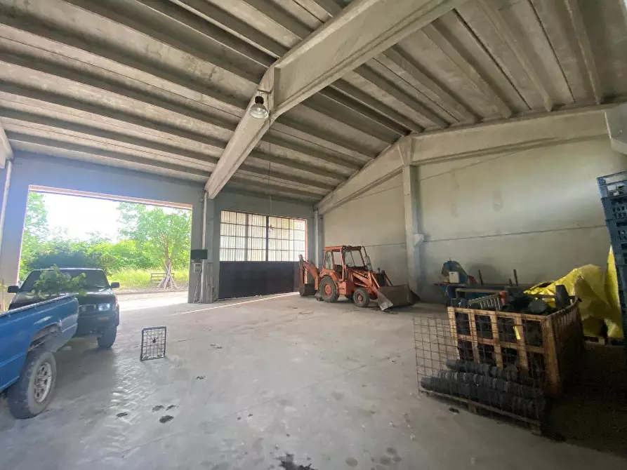 Immagine 6 di Magazzino in vendita  in Via Trevisago a Manerba Del Garda