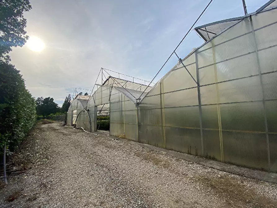 Immagine 8 di Magazzino in vendita  in Via Trevisago a Manerba Del Garda